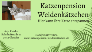 Katzenpension Weidenkaetzchen Glaubitz